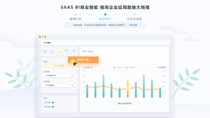 SAAS BI插图